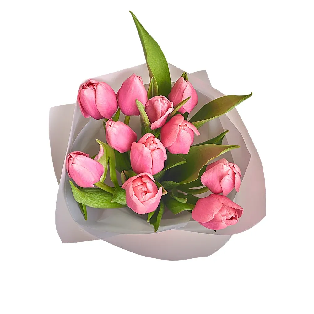 11 малиновых тюльпанов